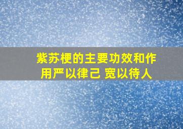 紫苏梗的主要功效和作用严以律己 宽以待人